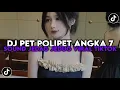 Lagu DJ PET POLIPET ANGKA 7 GARAM CINA | SOUND TERBARU VIRAL TIKTOK 2025 !