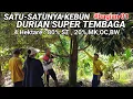 Download Lagu Kebun durian \
