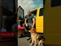 Lagu Hero Dog Saves Baby From The Cement Pit!