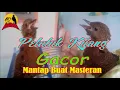 Download Lagu Pelatuk Kijang Gacor Buat Masteran #HF-0005
