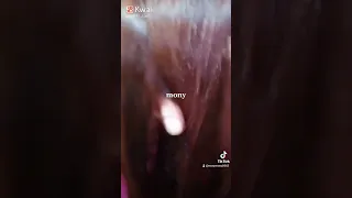 بيوتي سنتر Mony ميكب سواريه ميكب زفاف معالجات شعر وبشرة الاسكندرية 