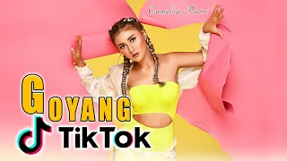 Lirik Lagu Goyang Tik Tok - Camelia Putri