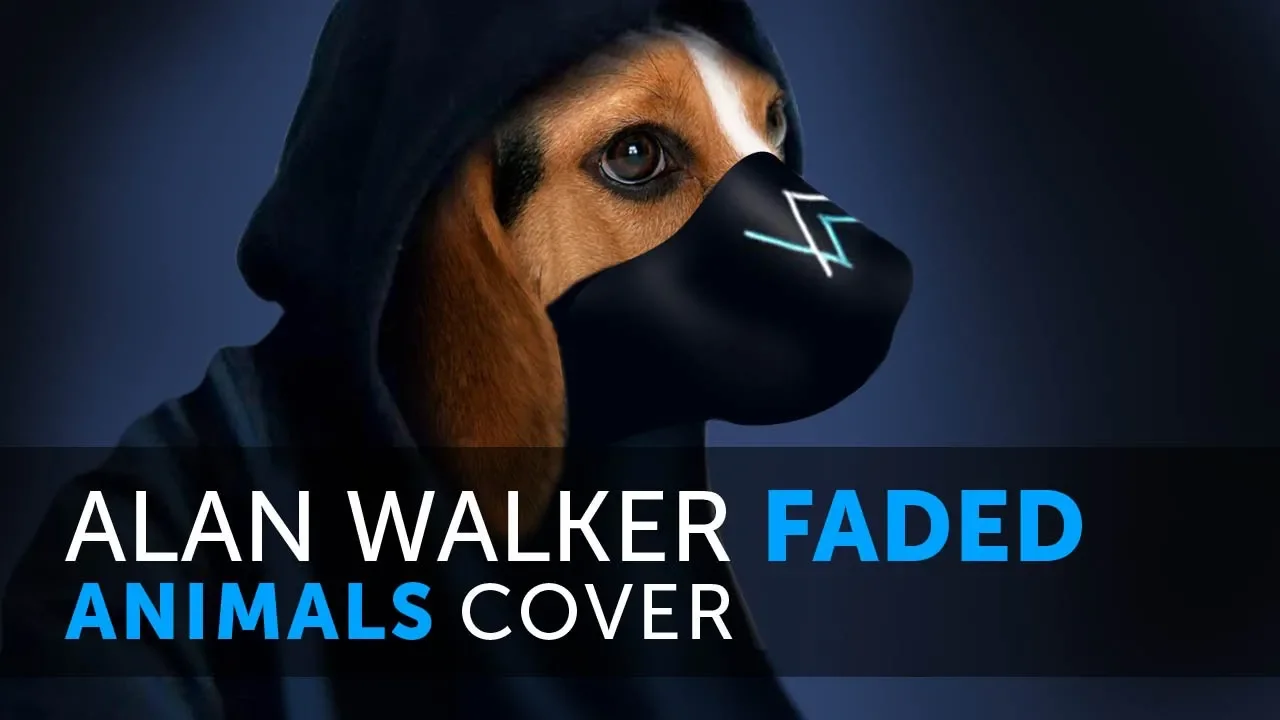 Alan Walker - Faded (Animals Cover) versi Hewan