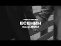Download Lagu Navai, MONA - Есенин (текст) 2024