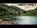 I Finally Found FREE Dispersed Camping in Colorado Next to Good Fishing Van Life Fly Fishing
