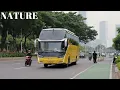 Download Lagu Simpang Susun Semanggi atau Jembatan Semanggi Jakarta