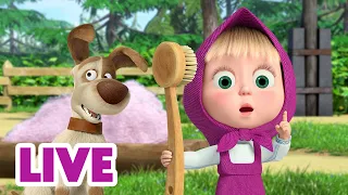 🔴 LIVE! Masha och Björnen 🐻👧 Varför ta ett bad? 🚿🤔 Masha and The Bear
