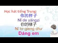 Lagu Học hát tiếng Trung || Dáng em 你的样子 Ni de yang zi