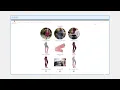Canada Post Ecommerce Take 2
