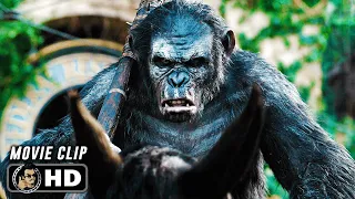 apes do not want war scene dawn of the planet of the apes 2014 sci fi movie clip hd