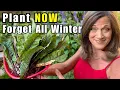 Download Lagu The Easiest 5 Vegetables to Plant in Fall and FORGET All Winter (Beginner friendly)