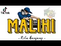 Lagu Malihi  ( Lirik ) - Rika Banjang || Lagu Dayak Viral tiktok || reggae version