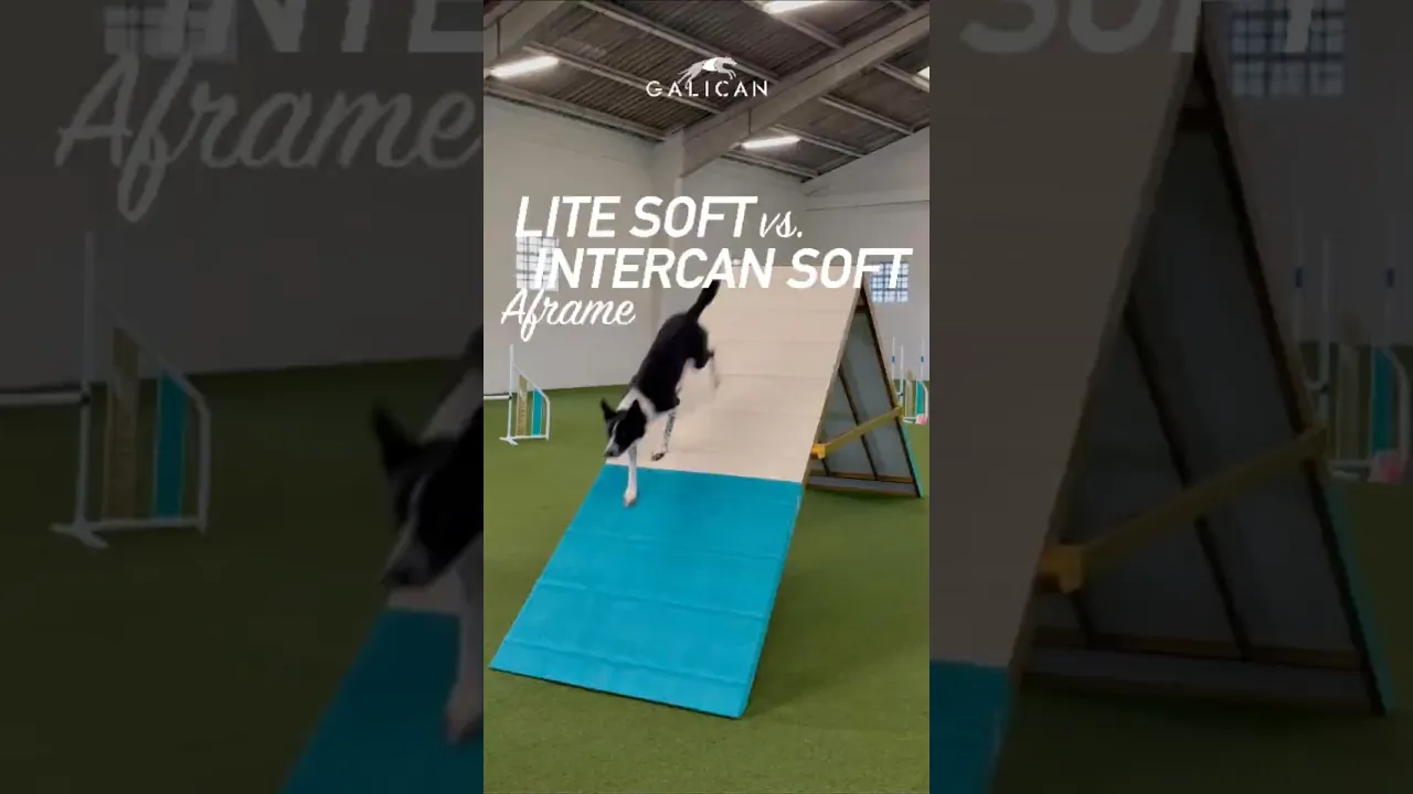 INTERCAN A-frame 2.0