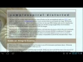 Google 2012 - Android WebView