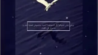 العرض التقديمي L صفحه جديده 