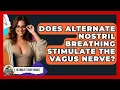 Does Alternate Nostril Breathing Stimulate The Vagus Nerve - Ultimate Study Hacks