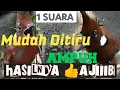 Download Lagu pasti juara kalau Masteran Cililin ini masuk ke burung kicau anda ~ @CuniKicau