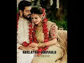 Download Lagu Nindu Punnami Vela Song Lyrics – Folk Song Telugu