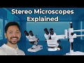 What is a Stereomicroscope Explained