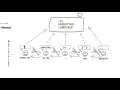 BDD - Executable specification