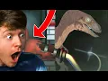 Reacting to JURASSIC PARK RAPTOR vs FNAF 2 FOXY
