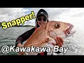 Lagu Snapper Fishing at Kawakawa Bay: Tips, Lures, and Techniques