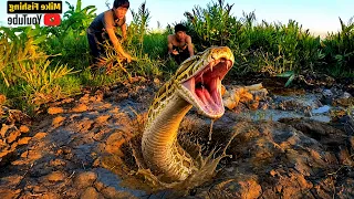SHOCKING! We Discovered a Giant Snake in a Mysterious Amazon Swamp Hole