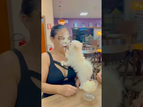 Lulu destruiu o aniversário da avó 🎂😱