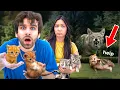 I TRIED to RESCUE 5 Abandoned Kittens From a COYOTE ATTACK... (sad)