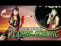 CAPING GUNUNG Versi Tayub Tuban Ketipung dangdut