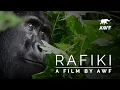 Download Lagu Rafiki: A Film by AWF