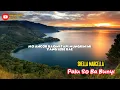 Download Lagu Palu So Ba Bunyi Shella Marcella Cover by Ibarahim Daud