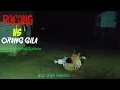 Download Lagu Prank POCONG vs Orang gila || auto adu smackdown😂| pocong lucu bikin ngakak|| ghost prank Indonesia