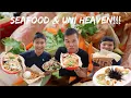 Amazing Seafood Tacos in Santa Barbara Social Distancing Part 1