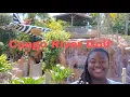 Best Mini Golf Course in Clearwater FL