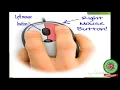 MOUSE BUTTONS HOW TO HOLD A MOUSE AND MOUSE POINTER Class 1 Computer Holy Heart Schools
