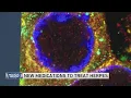 New medications to treat herpes and more health headlines