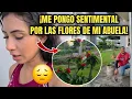 Download Lagu FOR THIS REASON I HAVE THESE FLOWERS AND PLANTS IN MY HOUSE/ I SHOW YOU MY HOUSE AND ITS NEW ADVA...