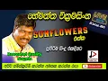 Download Lagu SUNFLOWER WITH හේමන්ත වික්‍රමසිංහ,HEMANTHA WICKRAMASINHA පැරණි සන්ෆ්ලවර් LIVE SHOW  RECREATED SOUND