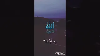 حوار بين الله وملك الموت ملك ملاك ا الله 