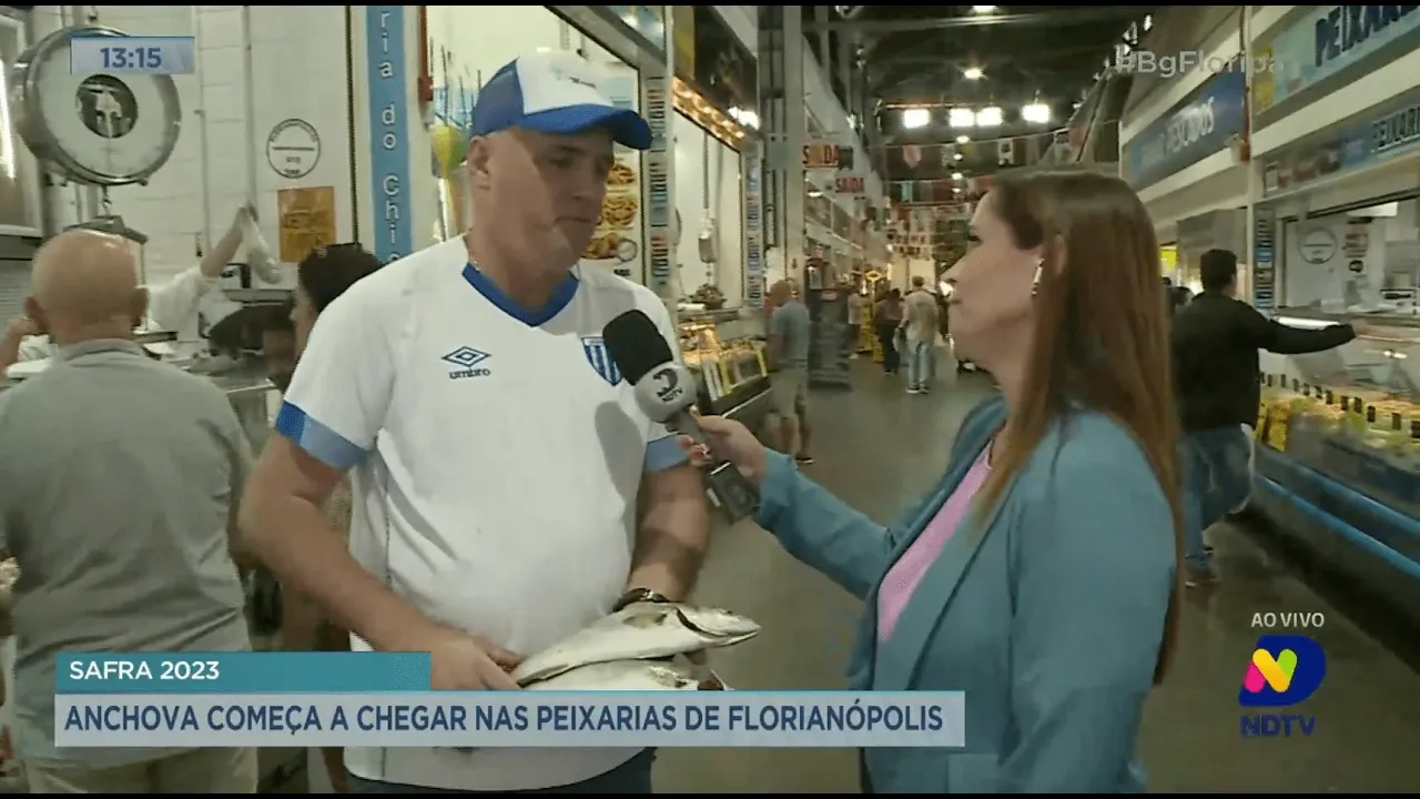 Anchova começa a chegar nas peixarias de Florianópolis