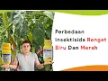 Download Lagu Insektisida Regent 50 SC, Beda Warna Beda Kegunaan!