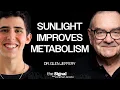 How Red Light Powers Your Mitochondria Why LEDs Harm Your Health Dr Glen Jeffery