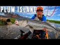 Making the Best of a Crappy Situation Plum Island Massachusetts Episode 7 Chasing the Striper
