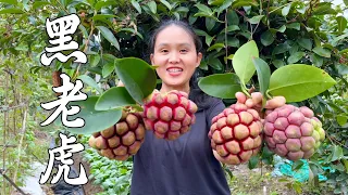 这是什么水果,籽多肉少却非常贵,奶奶第一次见
