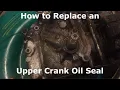 How to Replace an Upper Crankshaft Oil Seal on a Lawn Mower Oil Leak on Top of Lawn Mower