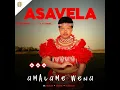 Download Lagu Asavela - Dali Wami (Official Audio) ft Mjolisi