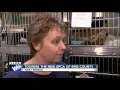 New animals move in to SPCA in West Seneca