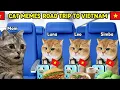 CAT MEMES FAMILY ROAD TRIP TO VIETNAM