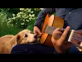 Download Lagu Saying Goodbye (What a Wonderful World)